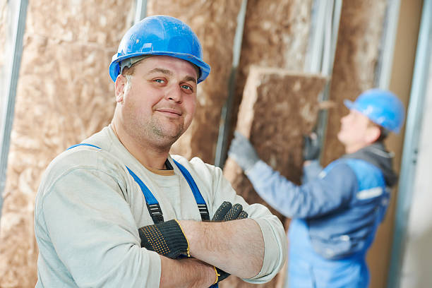 Best Eco-Friendly Insulation in Brodhead, WI